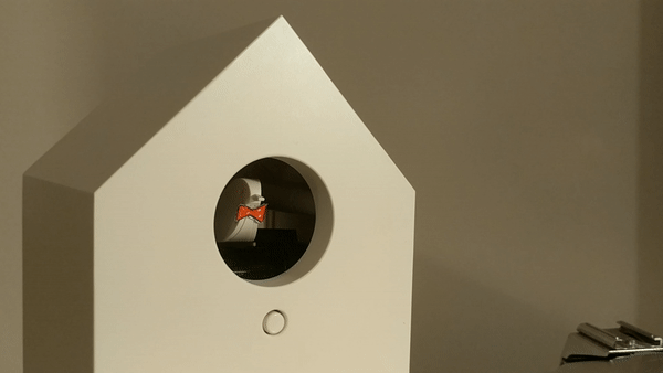 Building a Twitter Connected Cuckoo Clock... Really